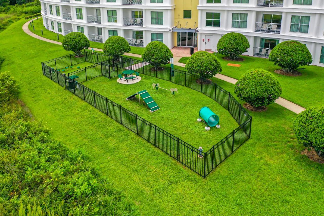 Pet Friendly In Orlando Area Near Disney Celebration Eksteriør bilde