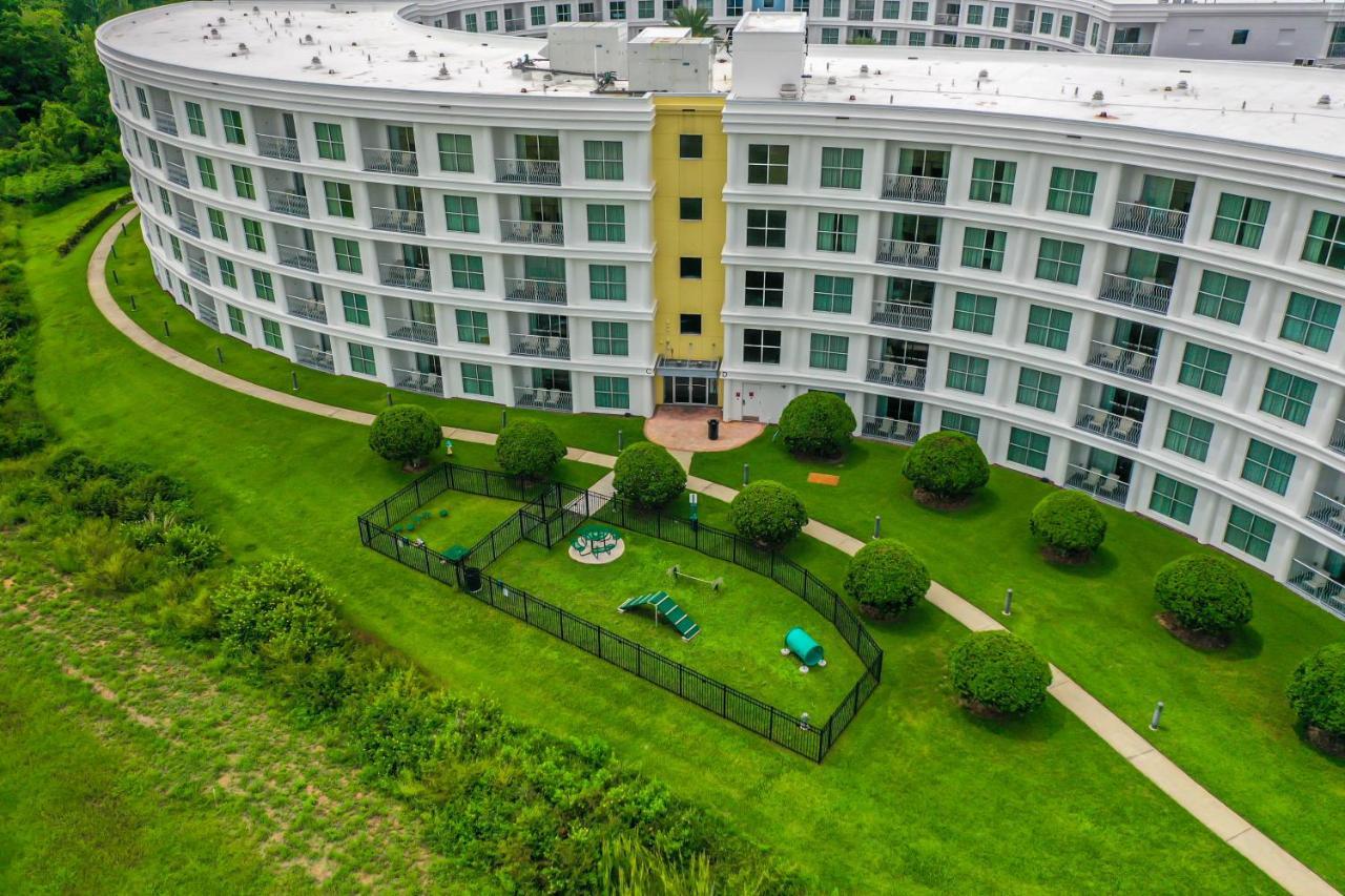 Pet Friendly In Orlando Area Near Disney Celebration Eksteriør bilde
